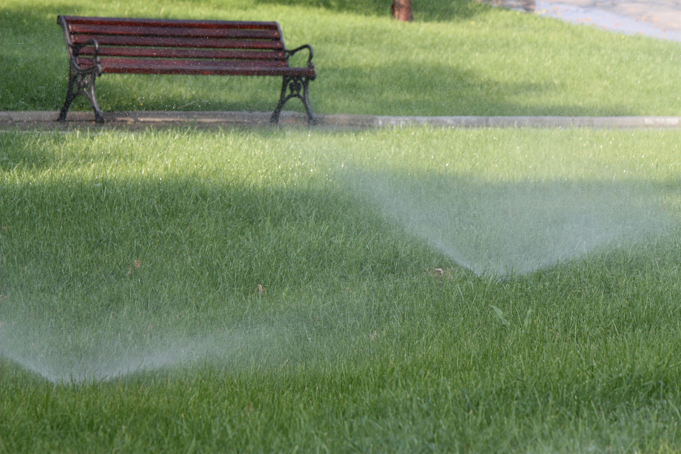 Парк Ленінського Комсомолу, фото 17